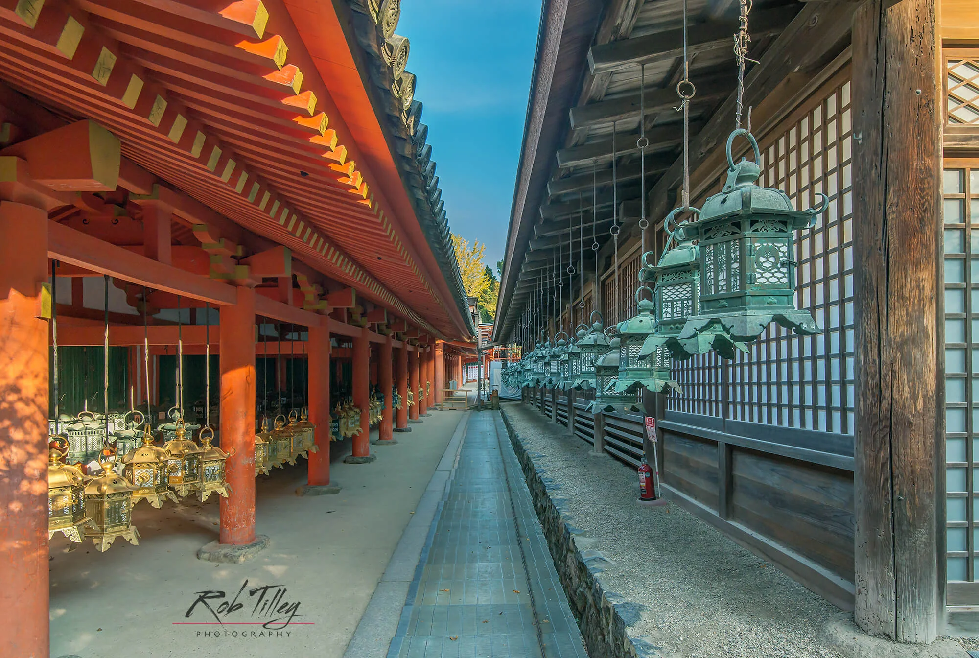 Kasuga Shrine Lanterns II