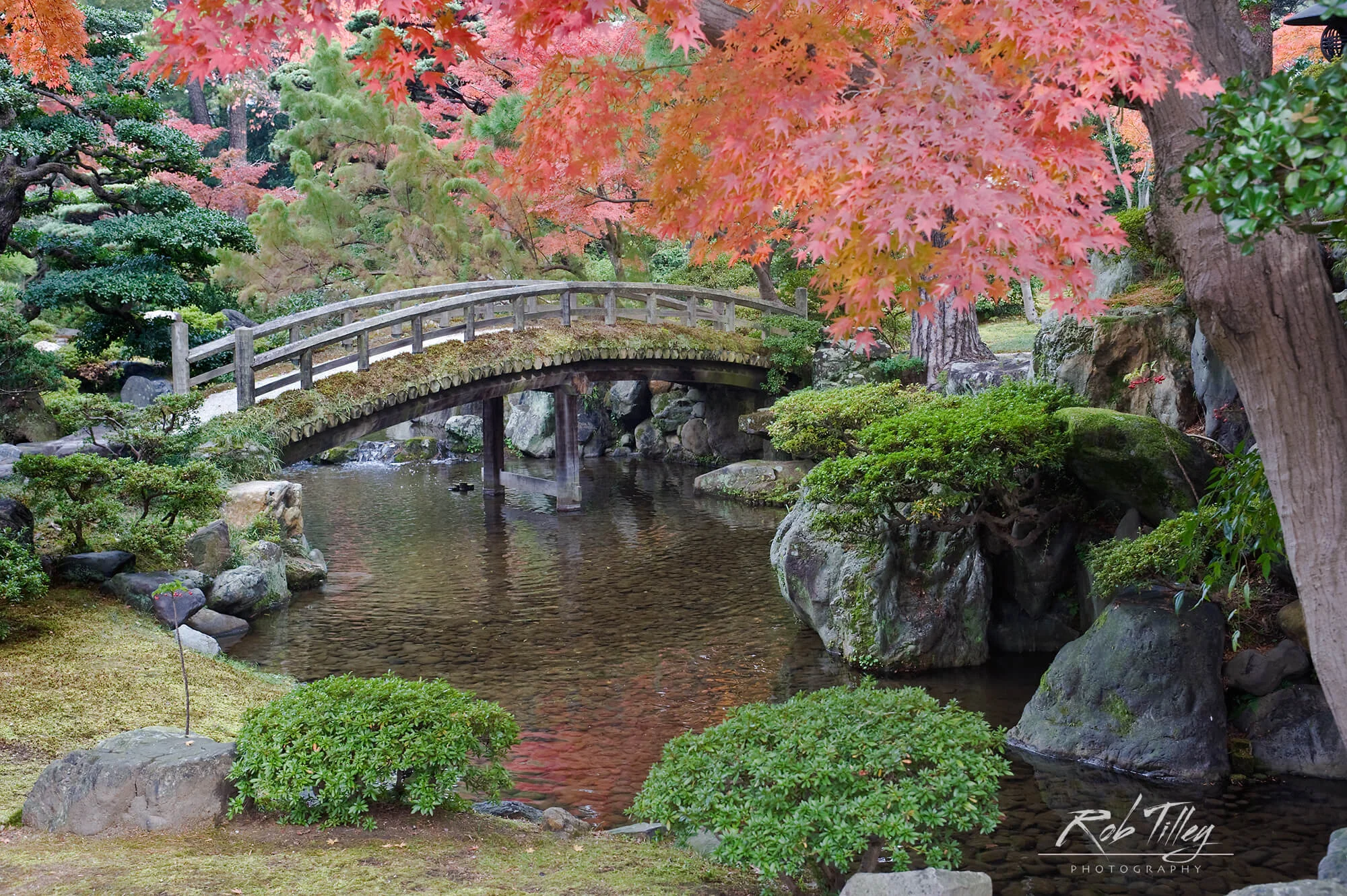 Kyoto Imperial Palace Garden I