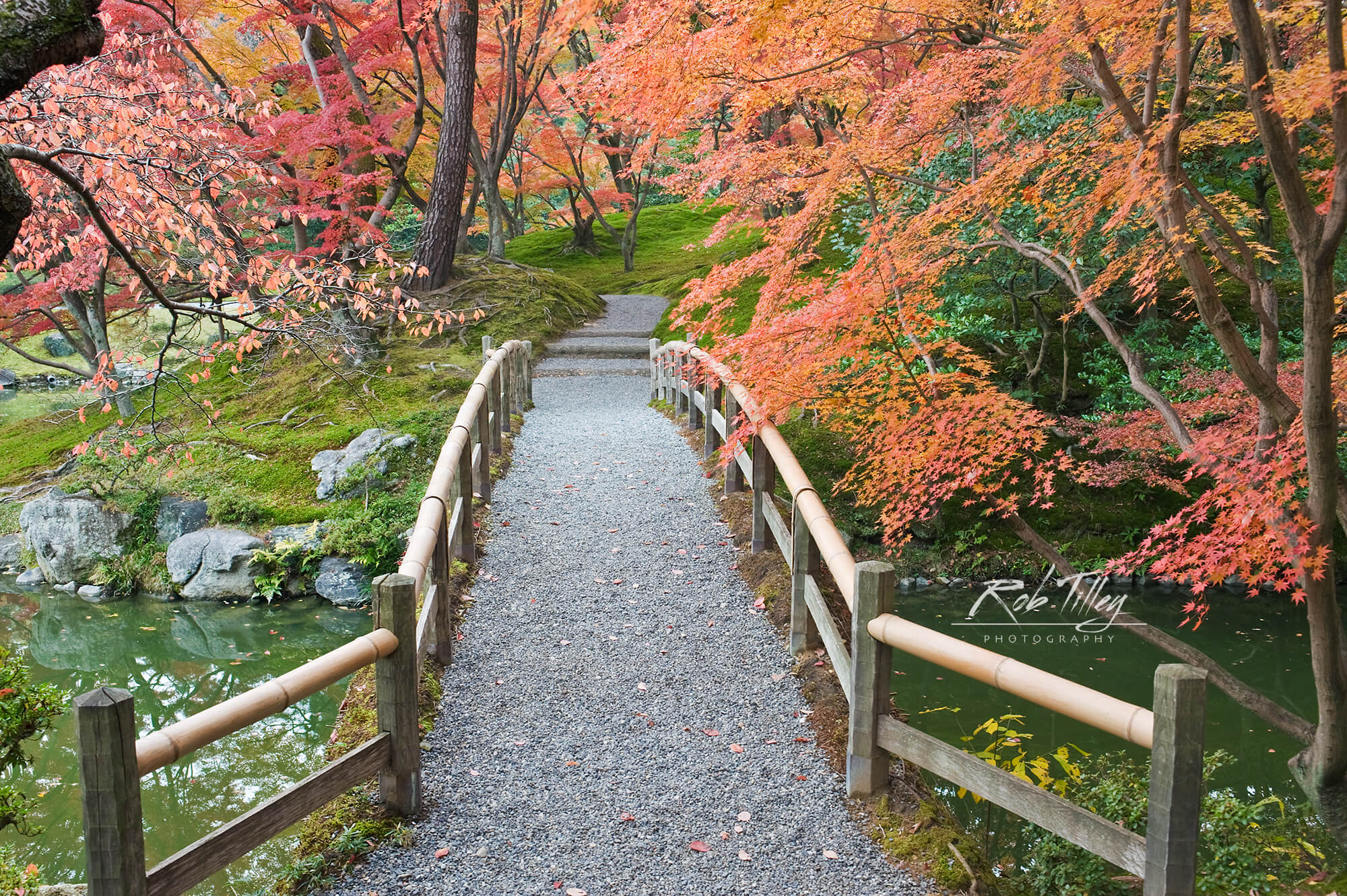 Sento Imperial Palace Garden I