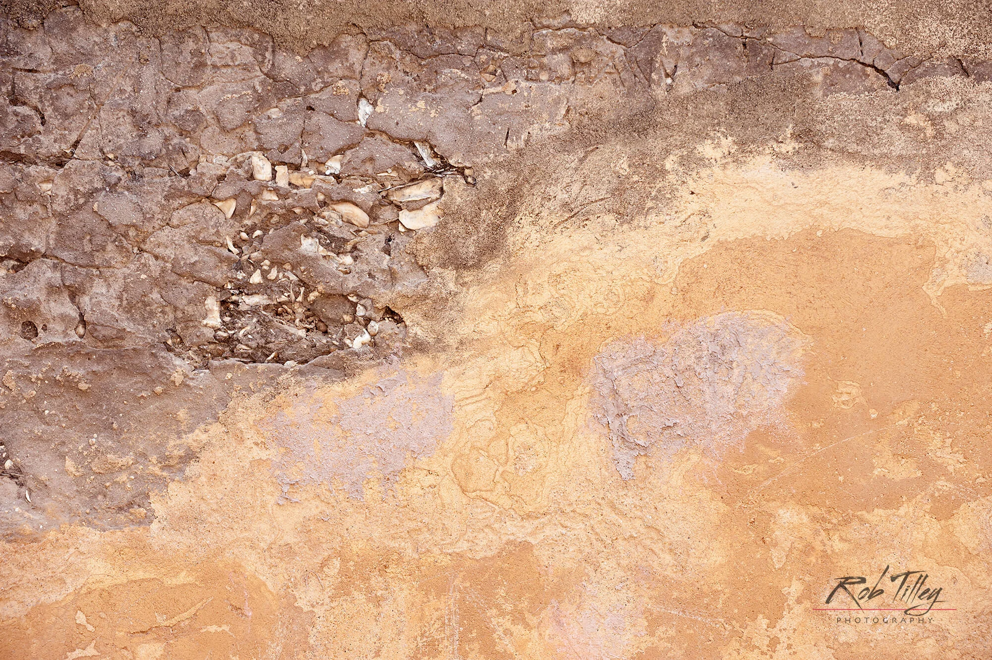 Tabby Abstract I.jpg
