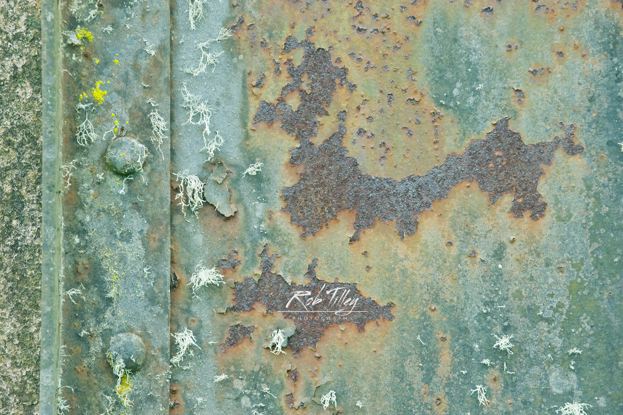 Steel Door Abstract