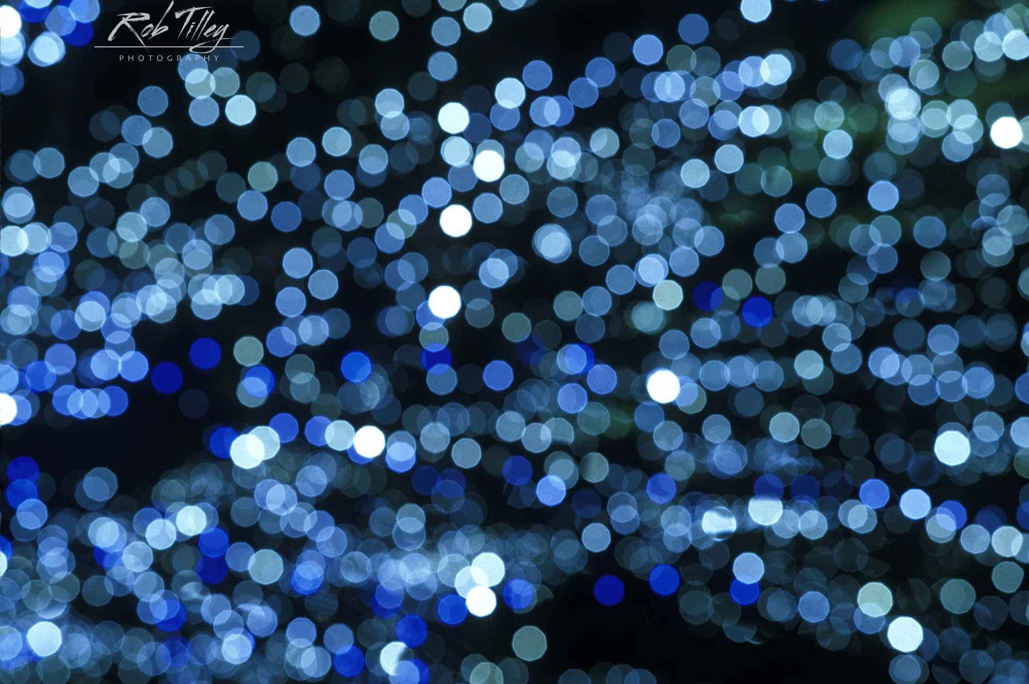 City Lights II.jpg