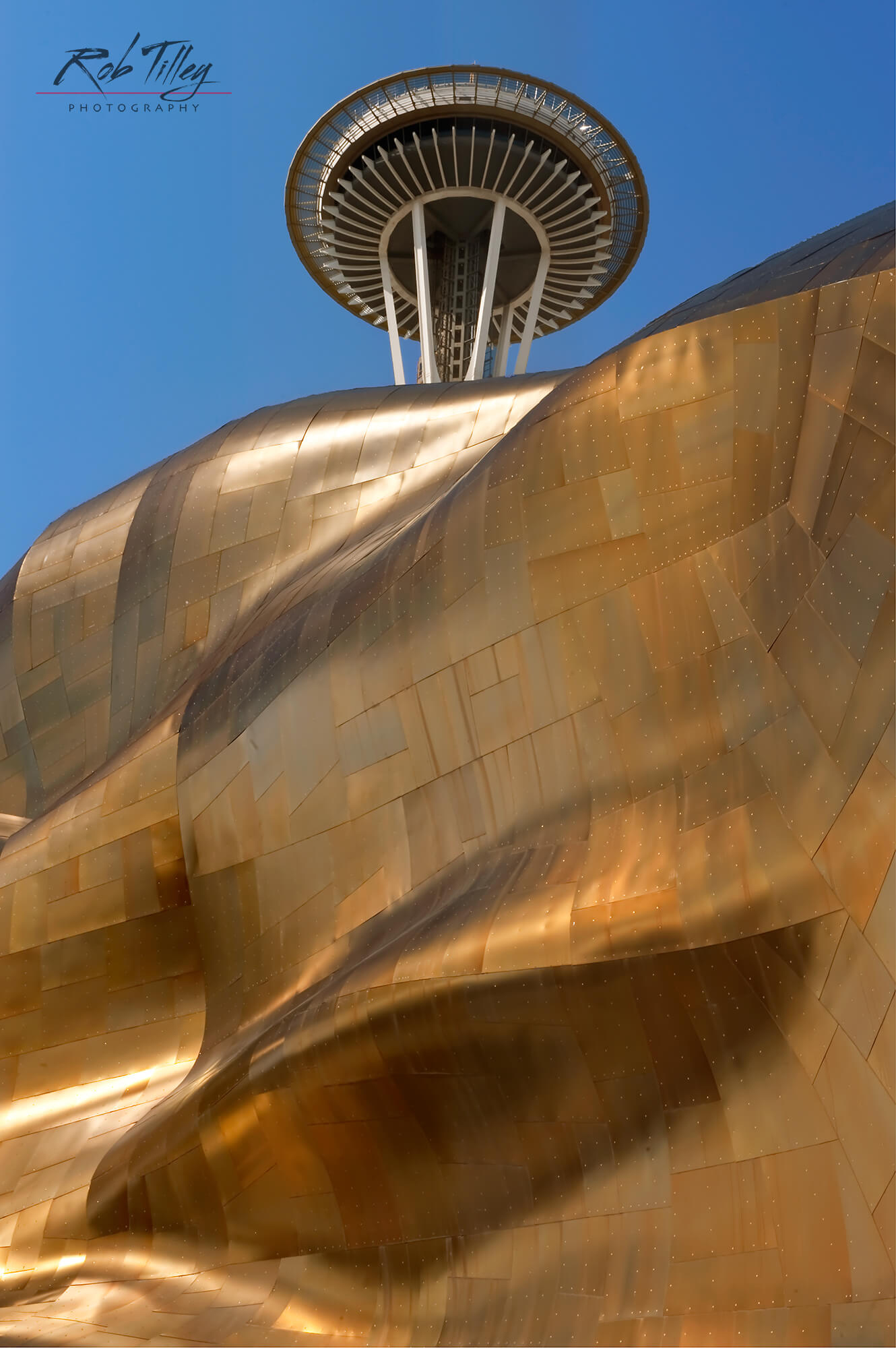 EMP Space Needle II