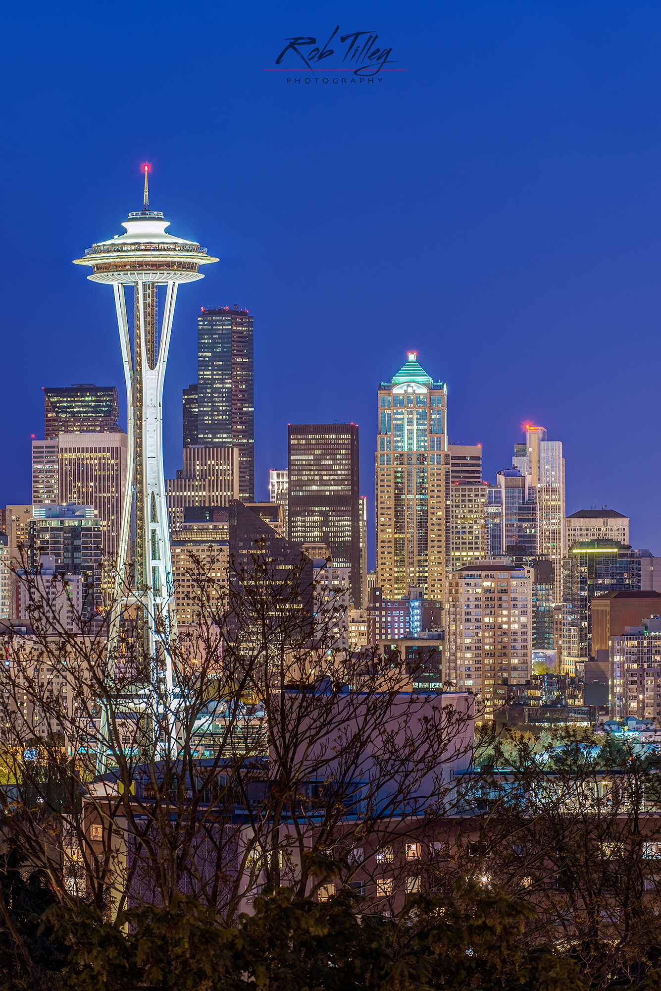 Twilight Space Needle