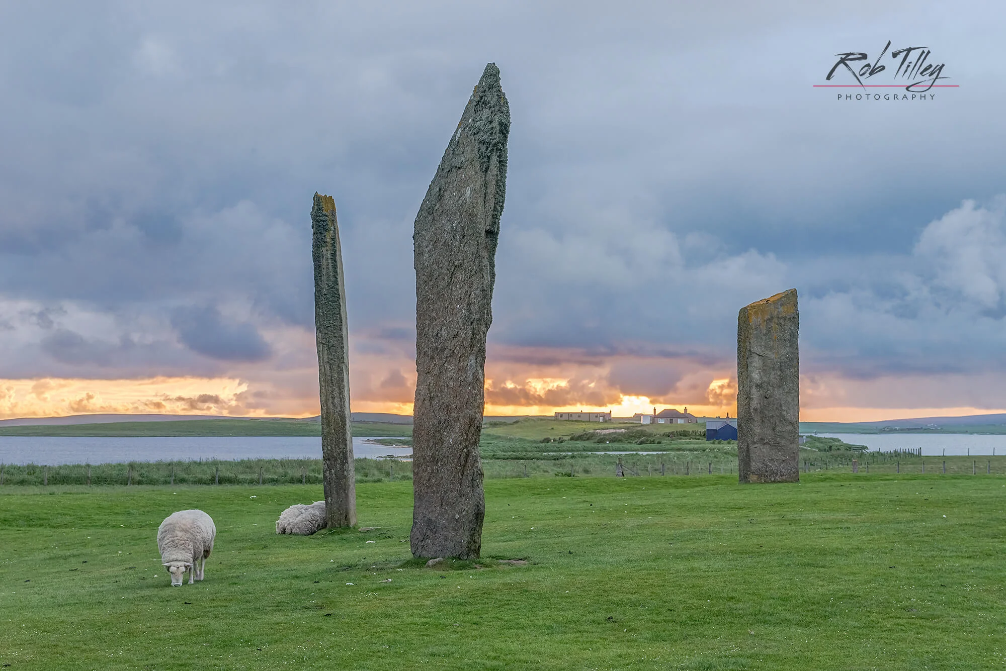 Stones of Stenness Sunset