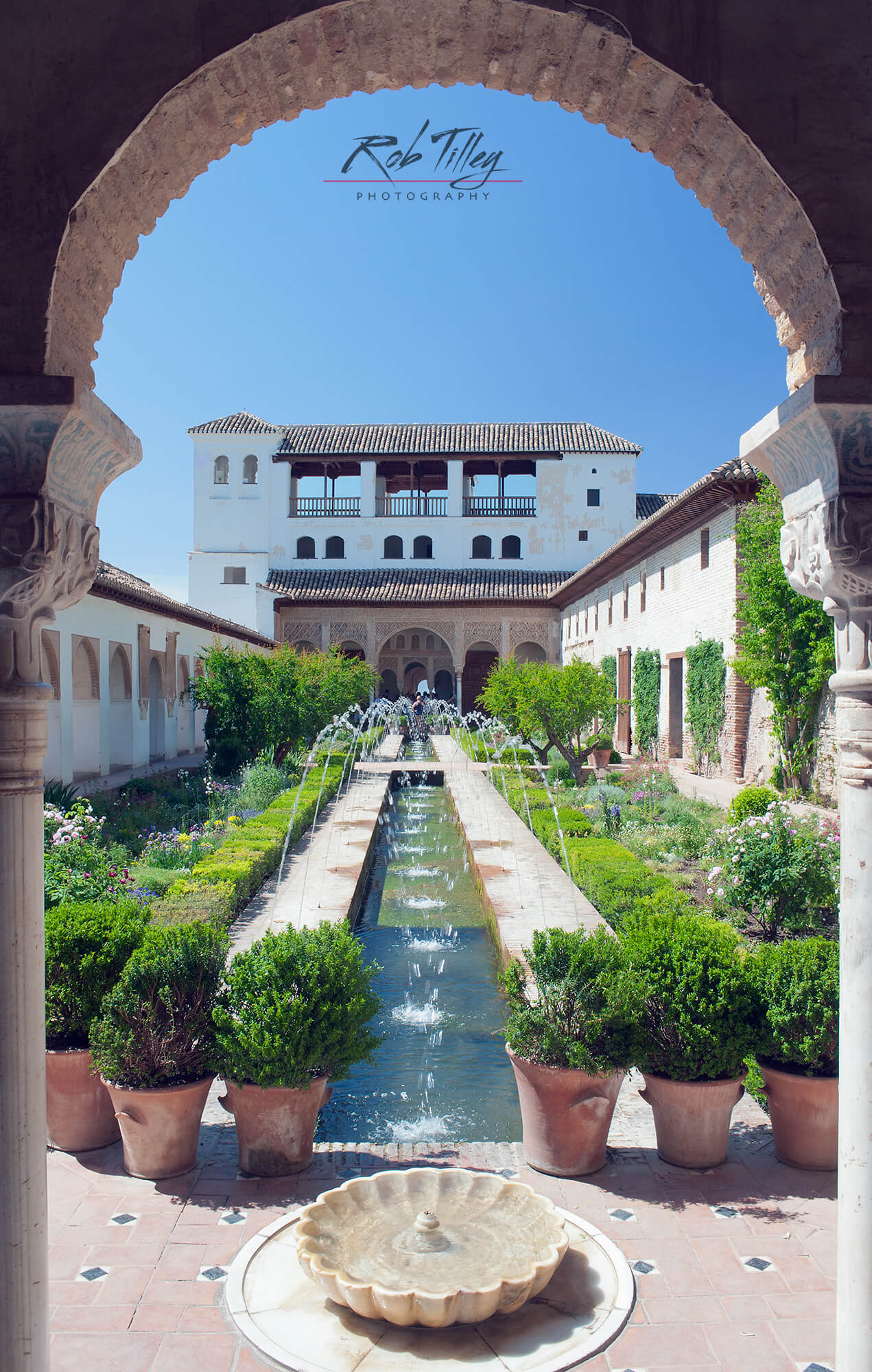 Alhambra Garden I