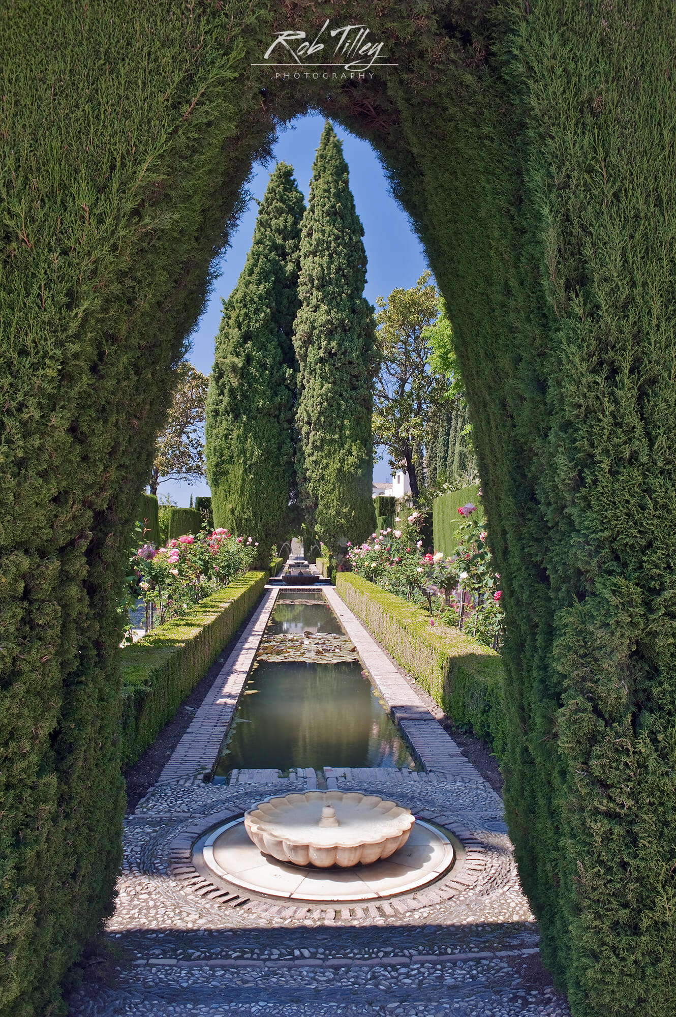 Alhambra Garden II