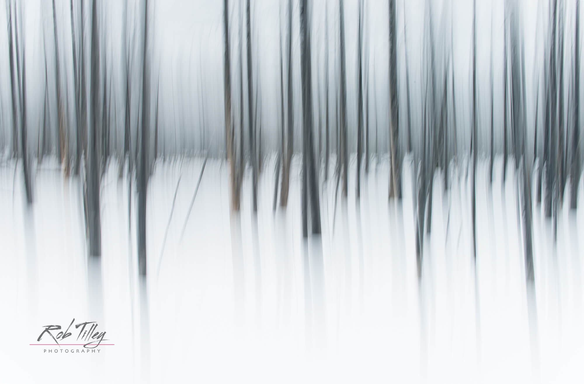 Winter Forest Abstract I