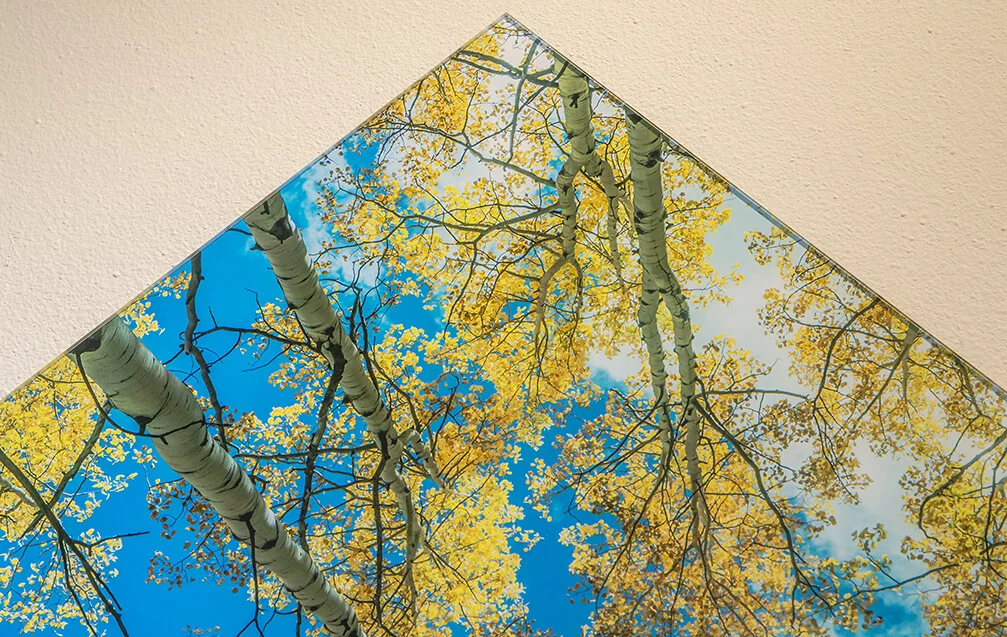 Acrylic Print Front.jpg