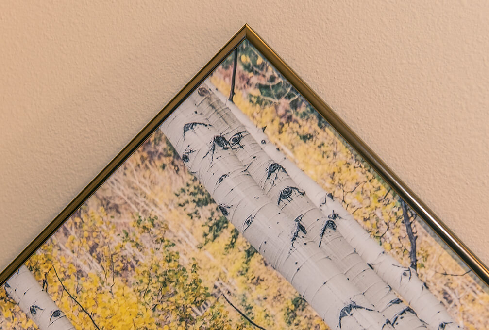 Bronze Metal Frame with Metal Print.jpg