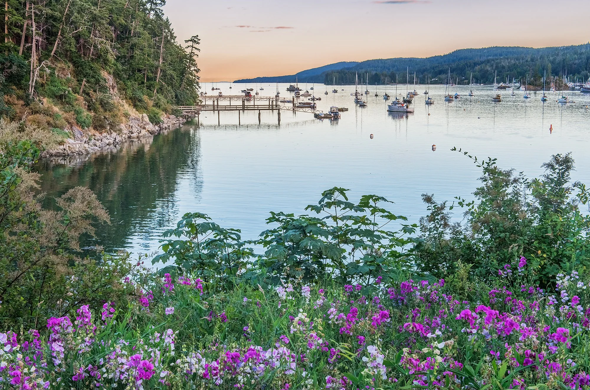 Ganges Harbor Sunset