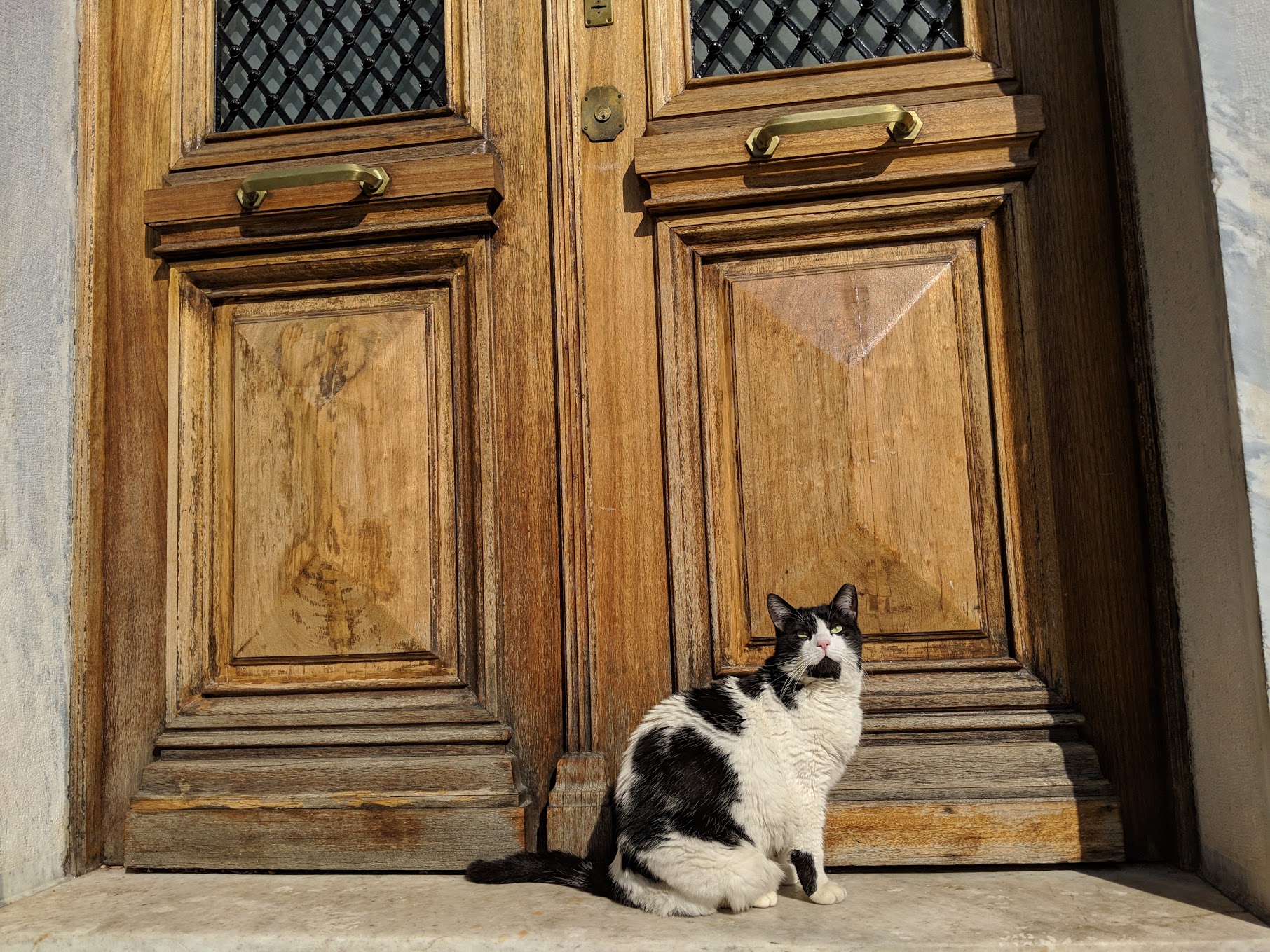 MVIMG_20190220_113639.jpg