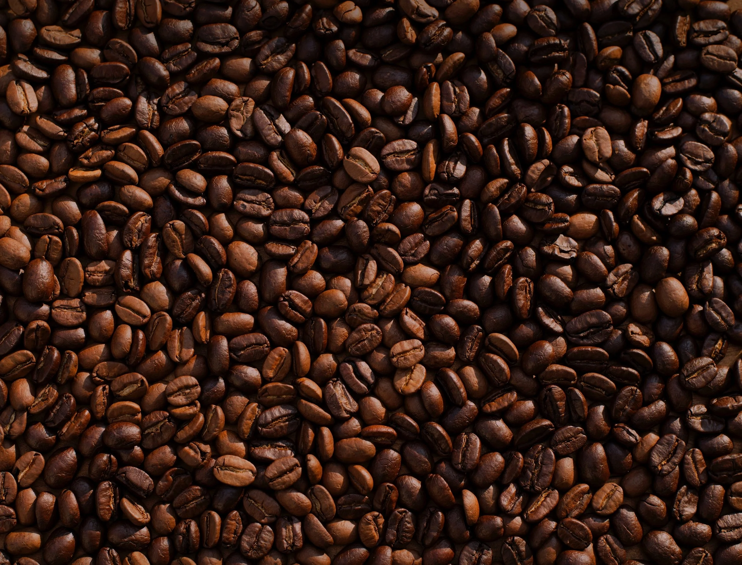 coffee beans.jpg