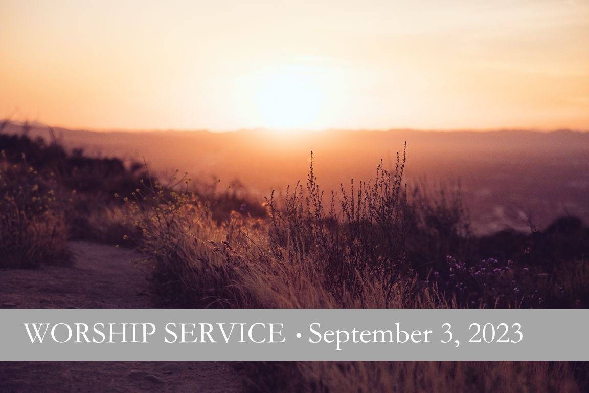 The Aftermath: Part 2