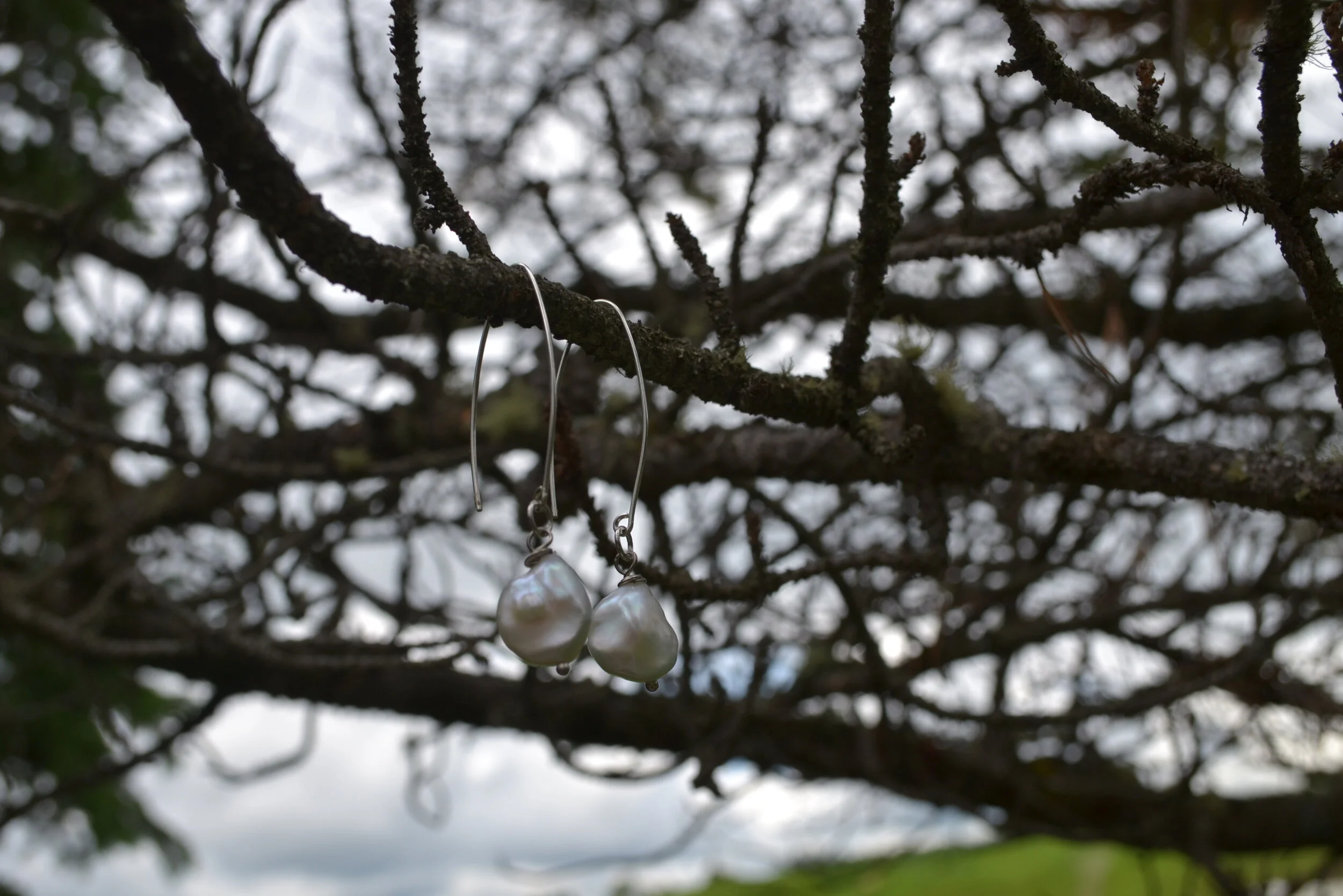 DSC_0406 2.jpg