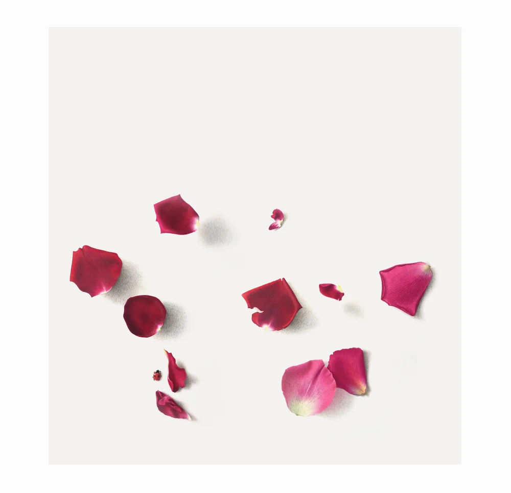 'In the Pink' 2018 - SOLD