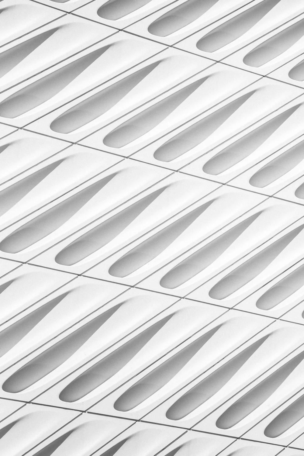 IMG_2896+bw.jpg