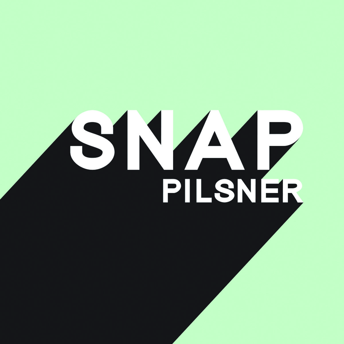 SNAPSquare.jpg