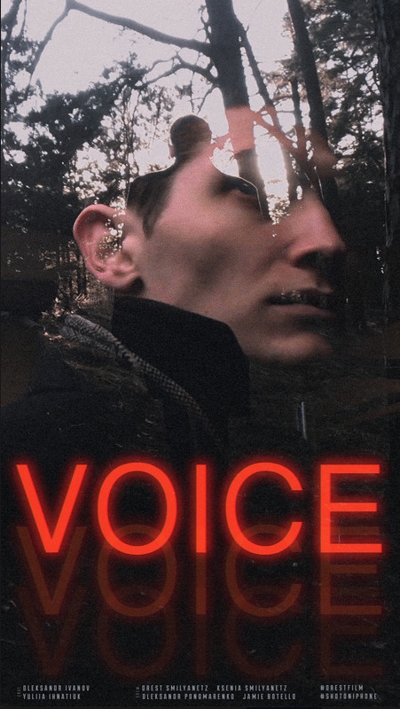 VOICE