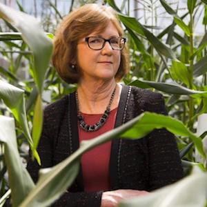 Presenter : Sharon Berberich, CEO