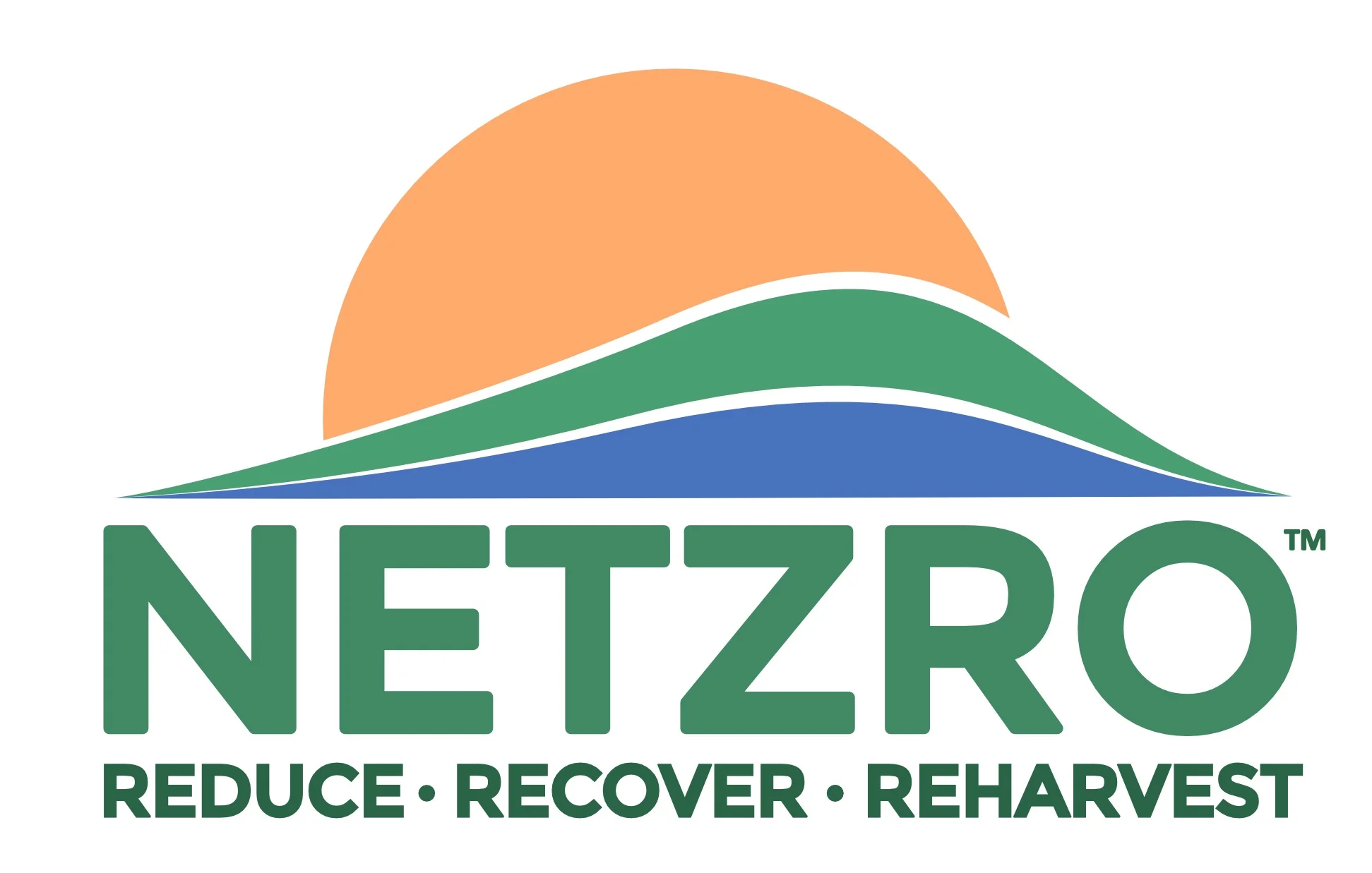 Netzro logo.jpg