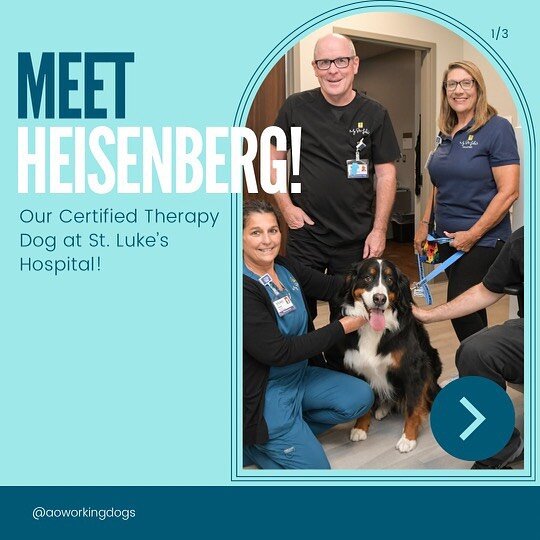 Way to go Heisenberg &amp; The Hopkins Family 🐾

Your AO Family is extremely proud of your hard work and we are forever honored to have had the privilege of guiding your training success. ❤️ 

Thank you for choosing us. 

#bernesemountaindog #bernes