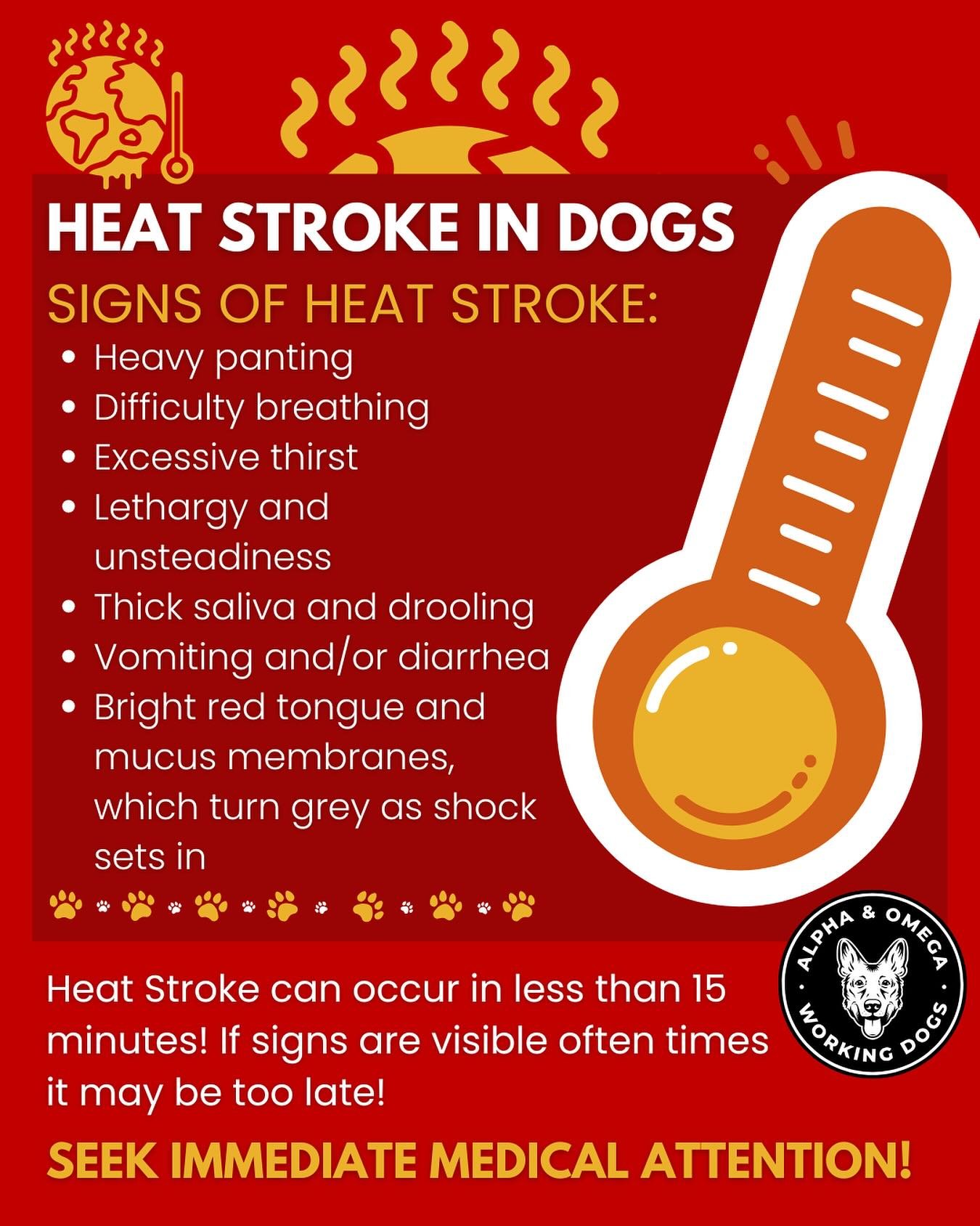 🔥 Heat Advisory Alert: Keep Your Dog Safe! 🔥

A heat advisory has been issued for Wednesday 6/18 at 11am to Thursday 6/19 at 8pm. With a heat index reaching 98&deg;F, the risk of heat-related illness is high&mdash;for you and your dog. 🐾

☀️ Tips 