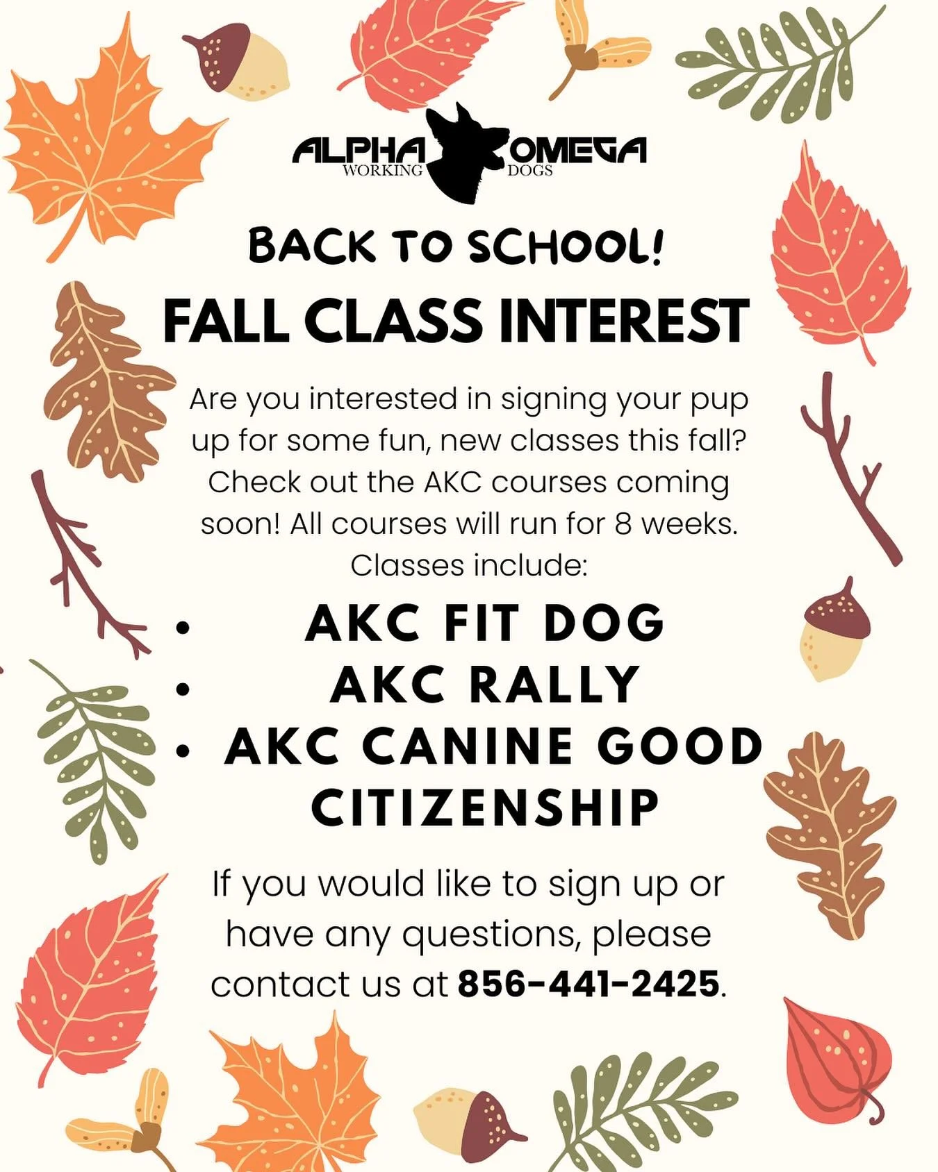 🍂 Fall Classes Are Here! 🍂

Ready to give your pup some fun, new challenges this season? 🐾

We&rsquo;re excited to announce our upcoming 8-week AKC courses:

✅ AKC Fit Dog
✅ AKC Rally
✅ AKC Canine Good Citizenship

📚 Back to School isn&rsquo;t ju
