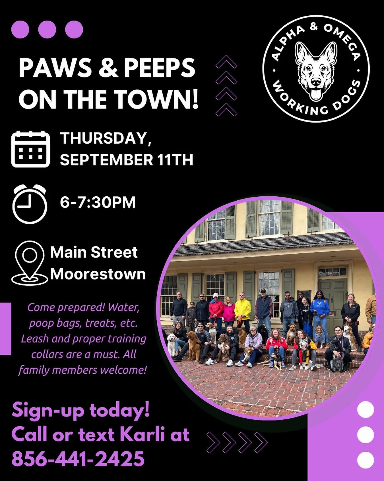🐾 AO Pack Walks are BACK! 🐾

We&rsquo;re so excited to kick off another season of fun, community, and plenty of wagging tails. 🌟

✨ FIRST walk: Thursday, September 11th
📍 Downtown Moorestown (Main Street)
⏰ 6&ndash;7:30 PM

✨ Saturday Pack Walks 