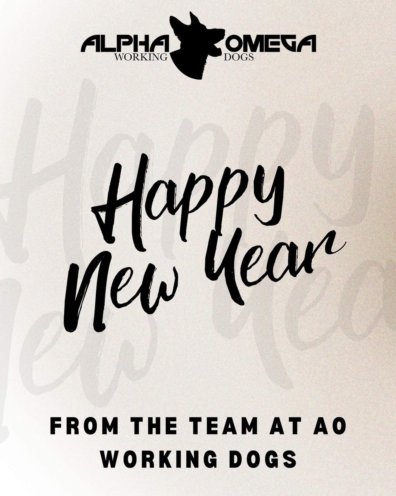 ✨ HAPPY NEW YEAR, AO FAM! ✨
Here&rsquo;s to 2026 &mdash; a year filled with health, happiness, love, growth, and all the good things! 🥂💛

We are so grateful for the incredible memories, milestones, and moments we shared in 2025 &mdash; what a year 