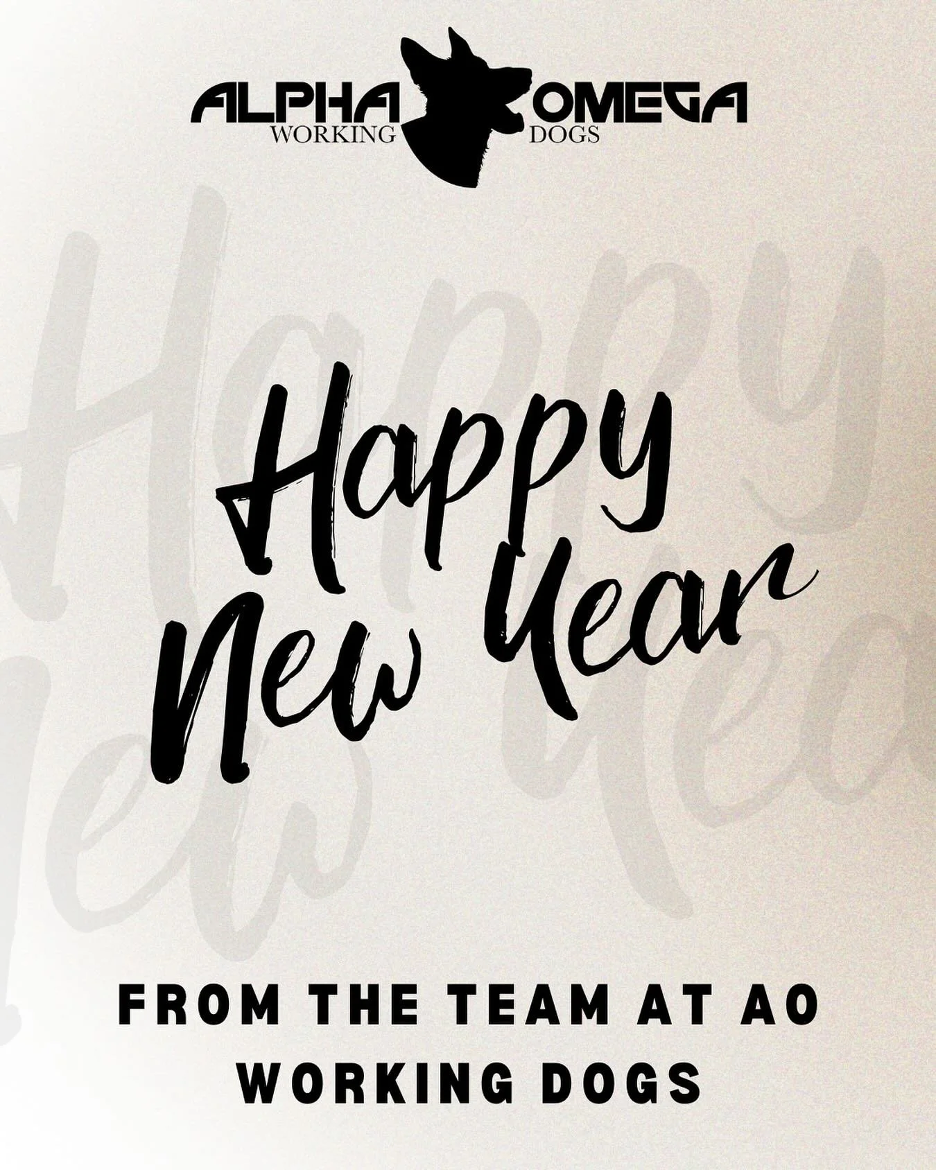 ✨ HAPPY NEW YEAR, AO FAM! ✨
Here&rsquo;s to 2026 &mdash; a year filled with health, happiness, love, growth, and all the good things! 🥂💛

We are so grateful for the incredible memories, milestones, and moments we shared in 2025 &mdash; what a year 