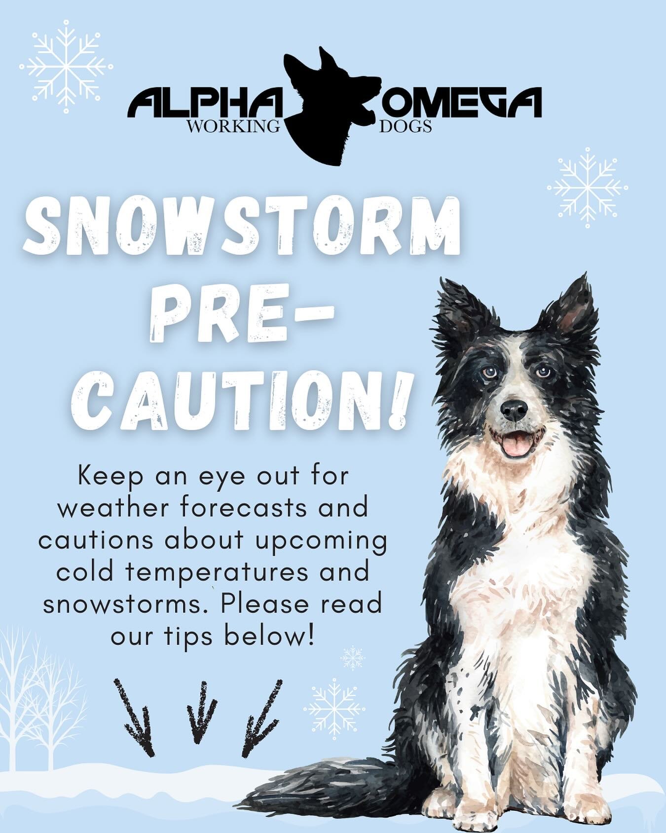 🌨️ SNOWSTORM PREP FOR YOUR PUPS! 🐾❄️

A winter storm is expected to hit the East Coast this weekend, bringing snow, ice, and freezing temperatures. Here are a few ways to keep your dogs safe, warm, and comfortable through the storm 🐶⛄️

Before it 