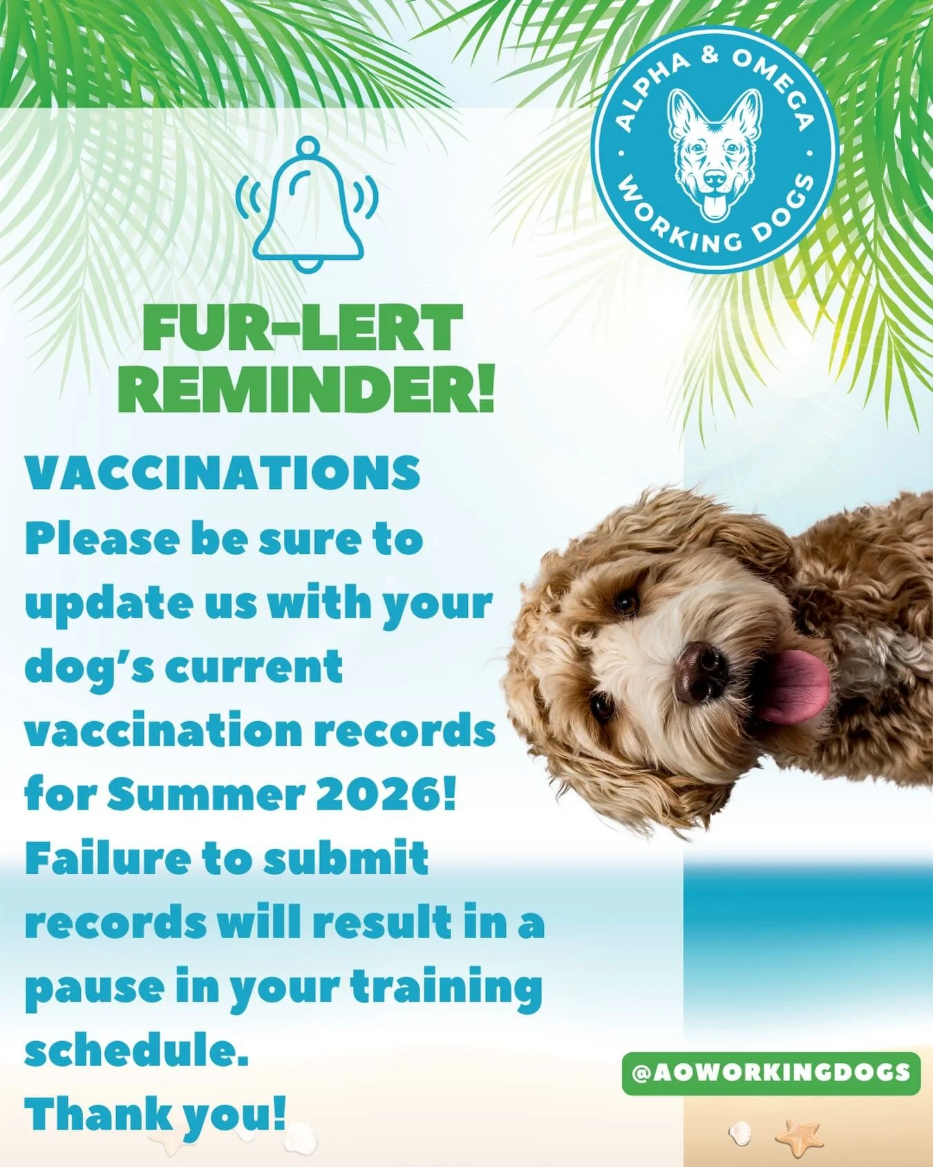 Summer Update: Pup Vaccination Records 🐾☀️

To keep our training facility safe and healthy for everyone this summer, please submit your dog&rsquo;s updated vaccination records!

Important: To ensure continuous progress, training schedules will be pa