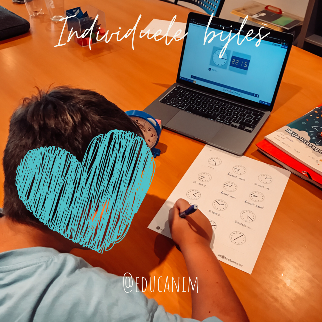 Individuele bijles.PNG