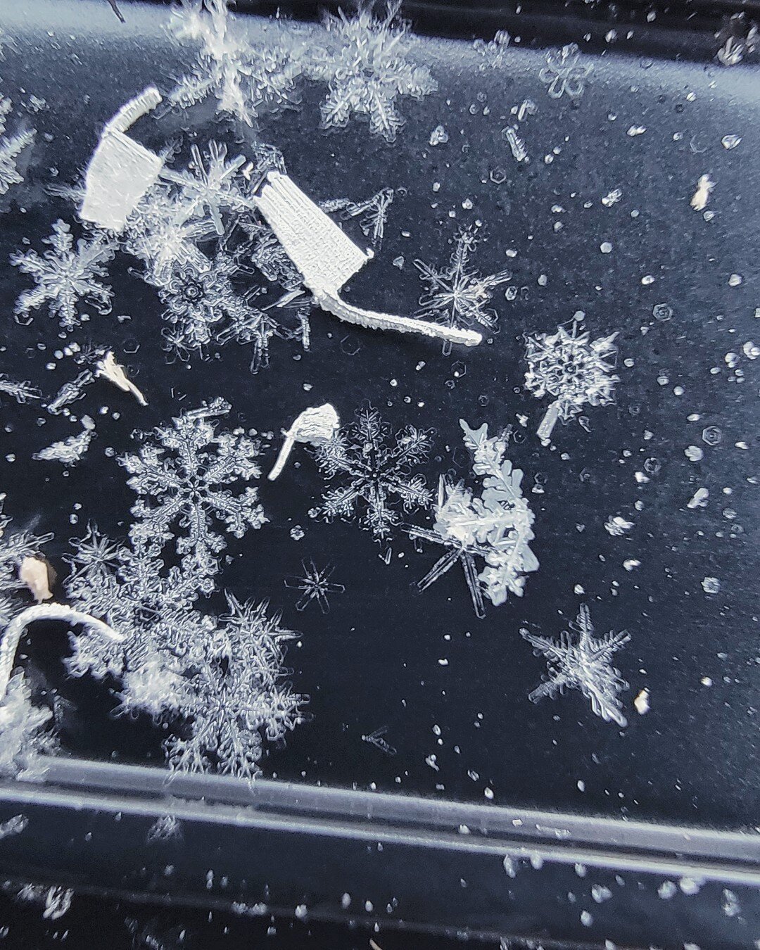 Hartley isn't just a great carpenter - she takes crazy cool snaps on the jobsites too. While we'd be happy not to see any of the white stuff until next year, we do love the details you can see in these snowflakes!
Photo credit: @justalittleheartles