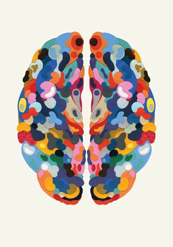 Process of Thinking and Decision Making: Continued