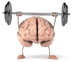 Muscle Memory