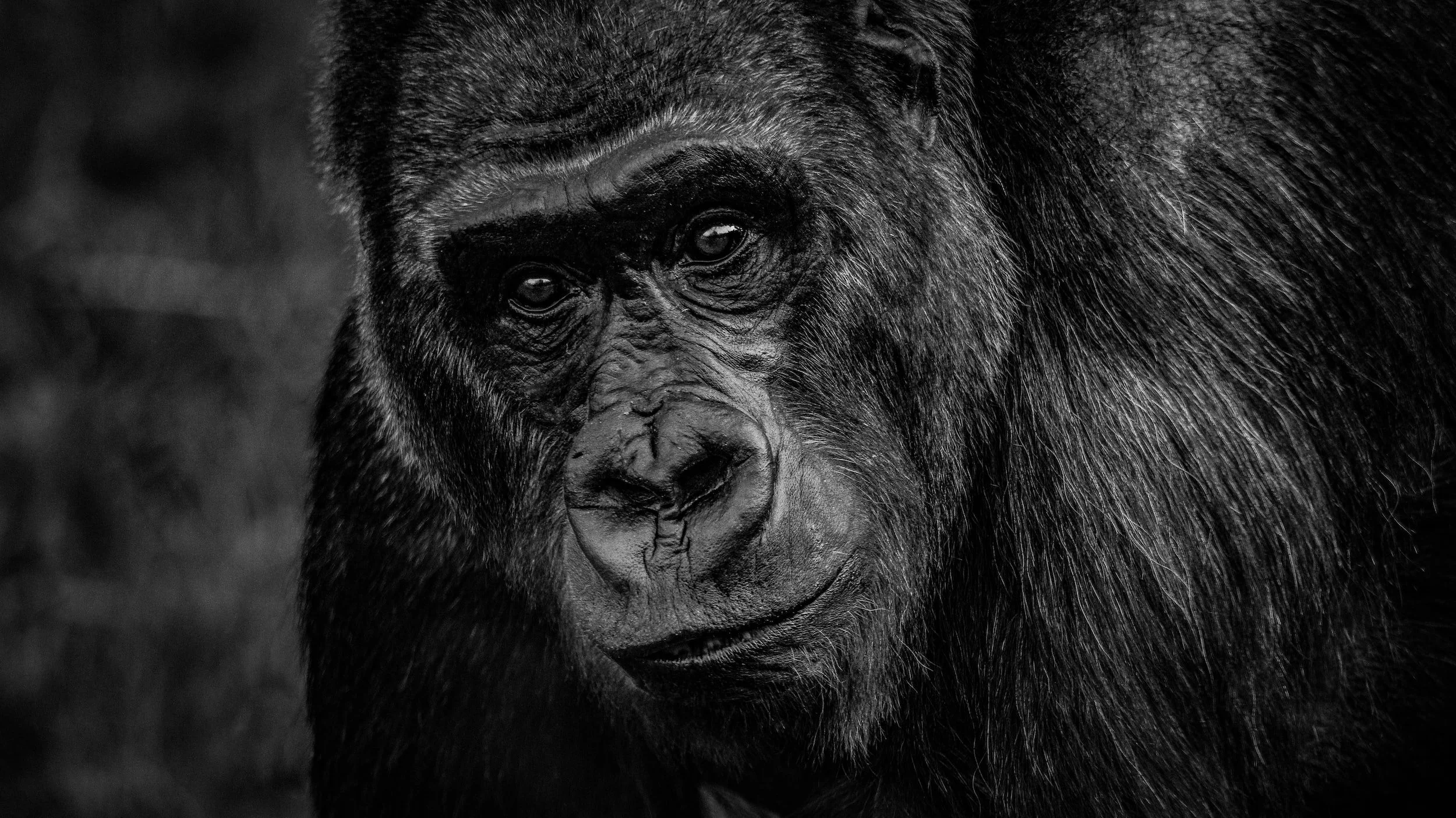 THINKING ABOUT IMMENSE DIVERSITY IN NATURE. Part 1
