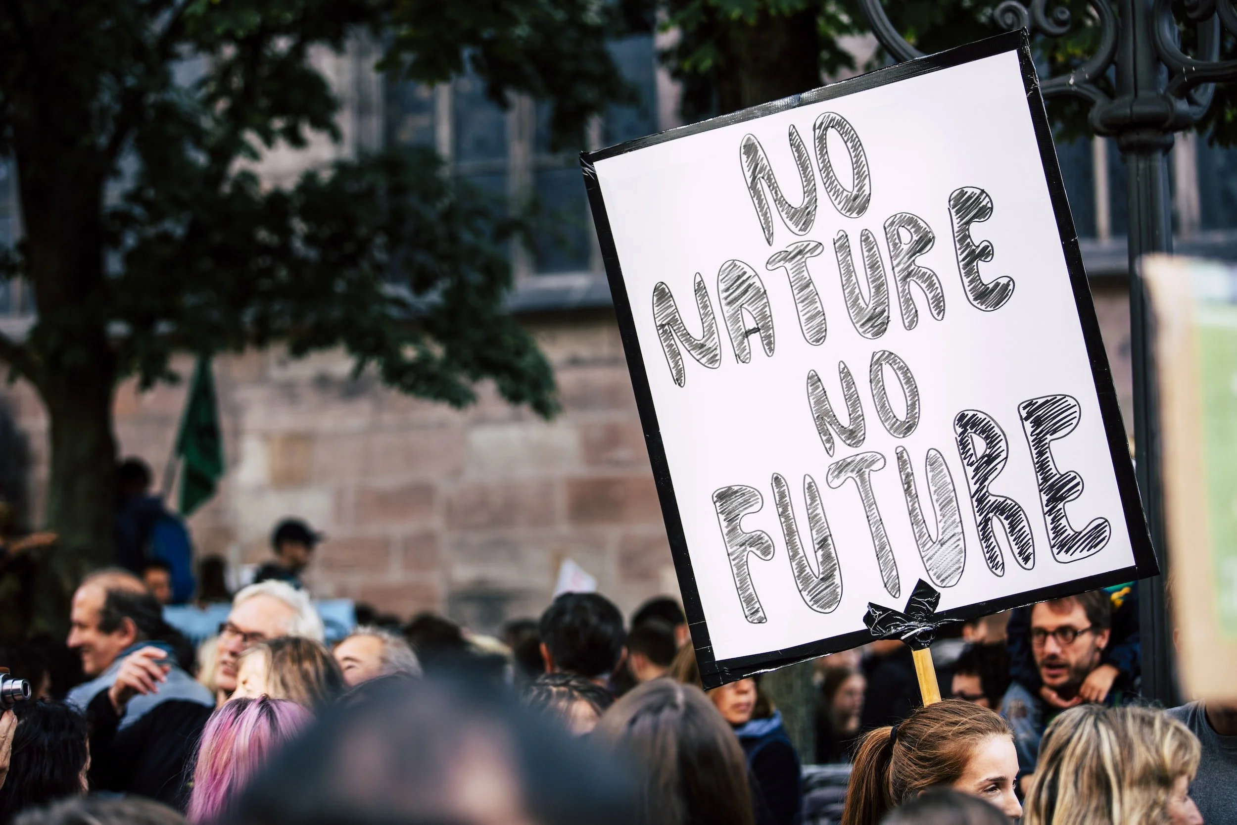 THINKING ABOUT BIODIVERSITY IN NATURE, PART 2