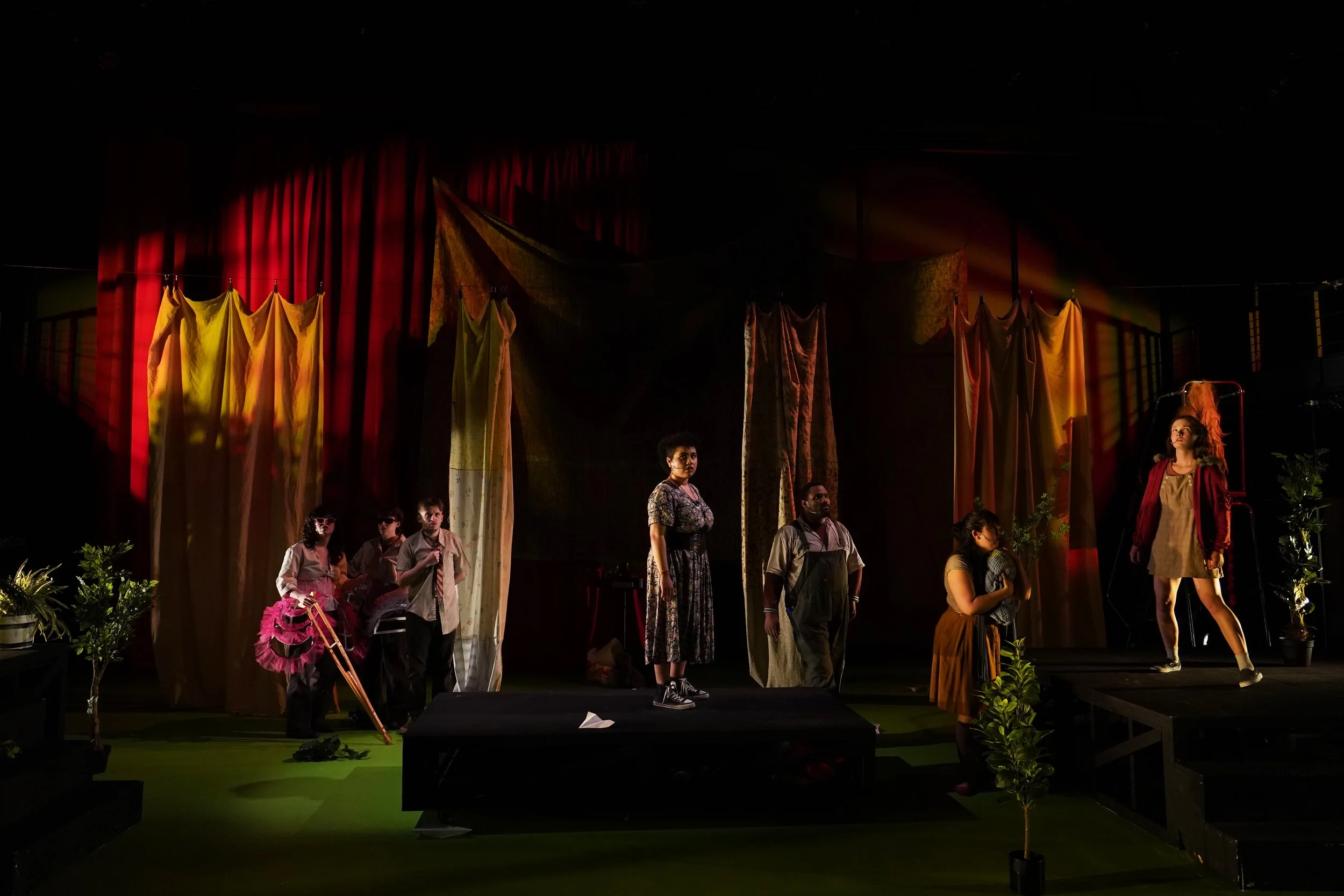 12 IntoTheWoods335.jpeg