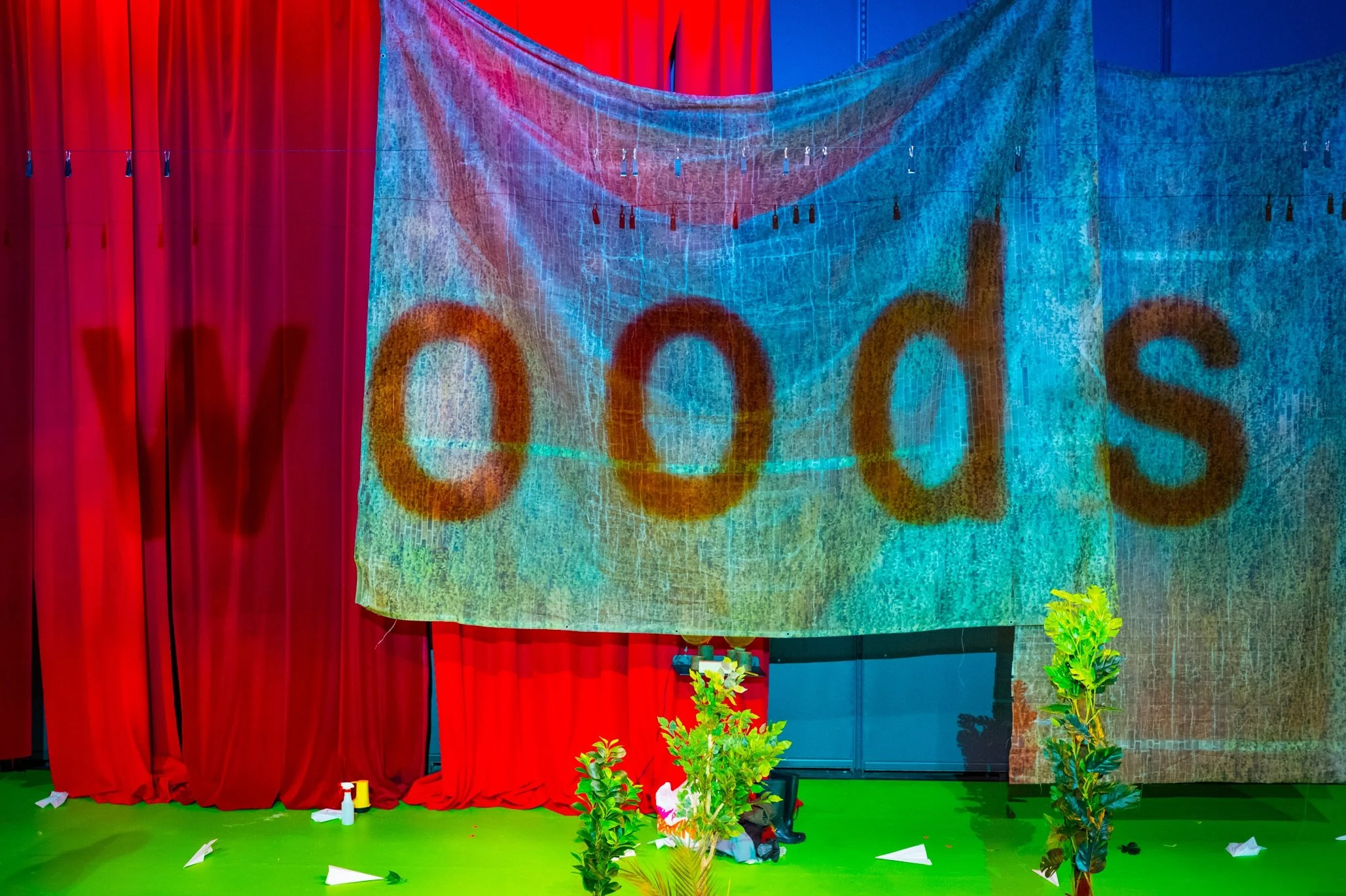 20 Into The Woods 349.jpeg