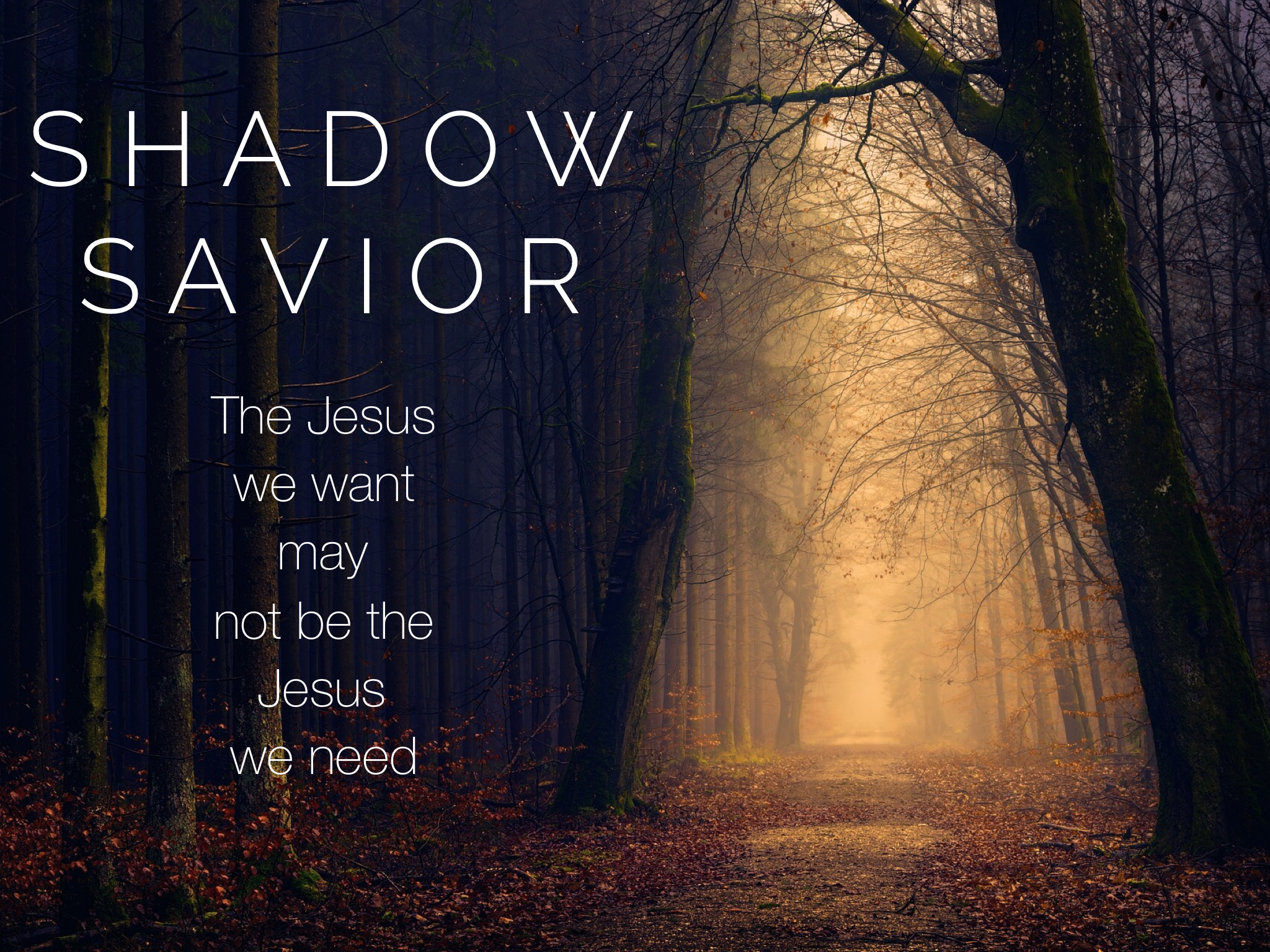 Shadow Savior: When Jesus disappoints you.