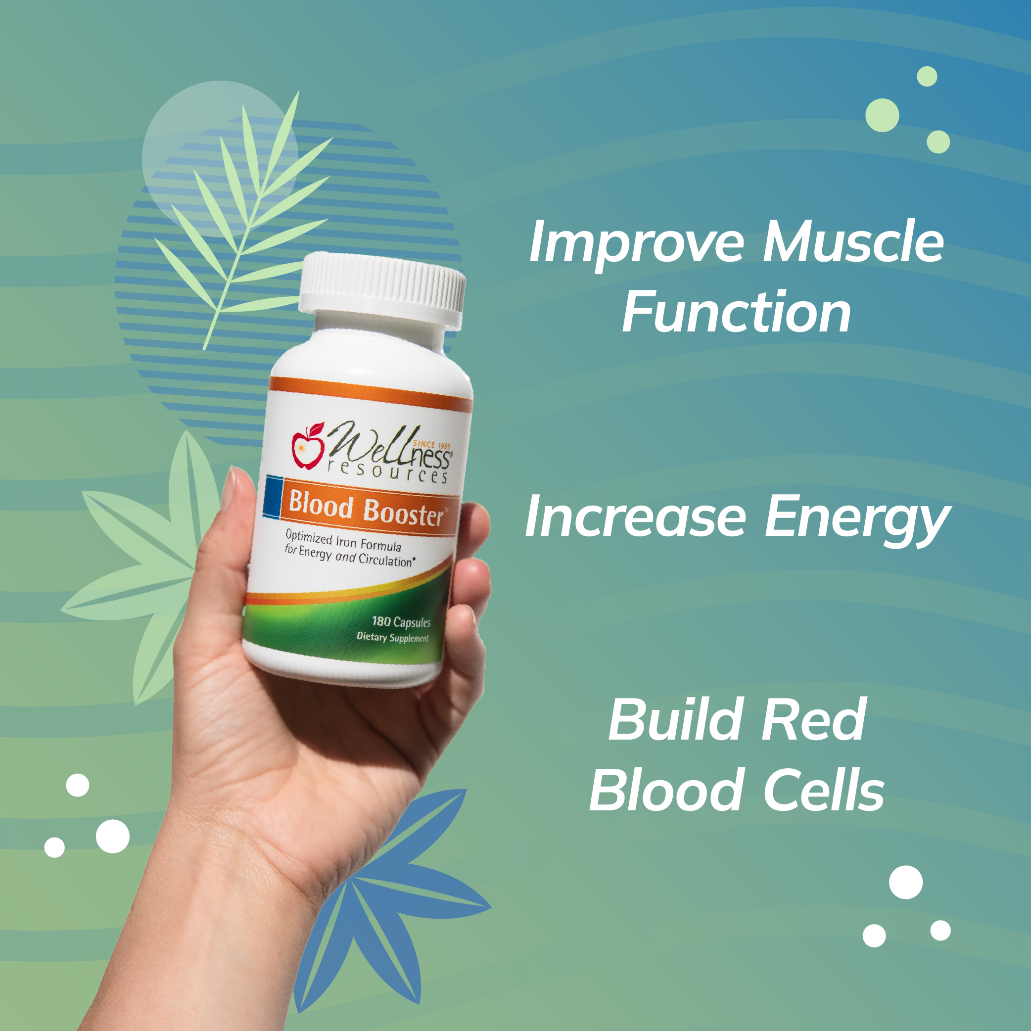 Blood Booster – Top of Page Product images-02.png