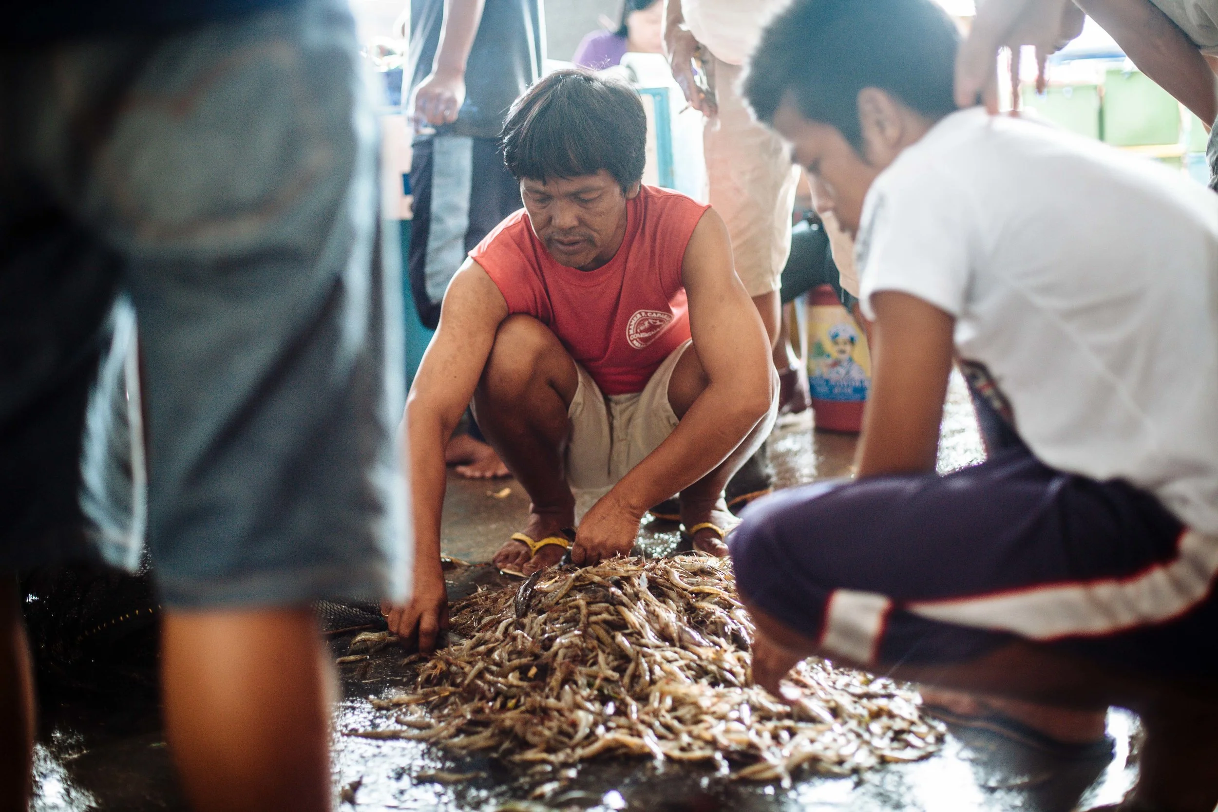 20121116_KU_Philippines_081.jpg