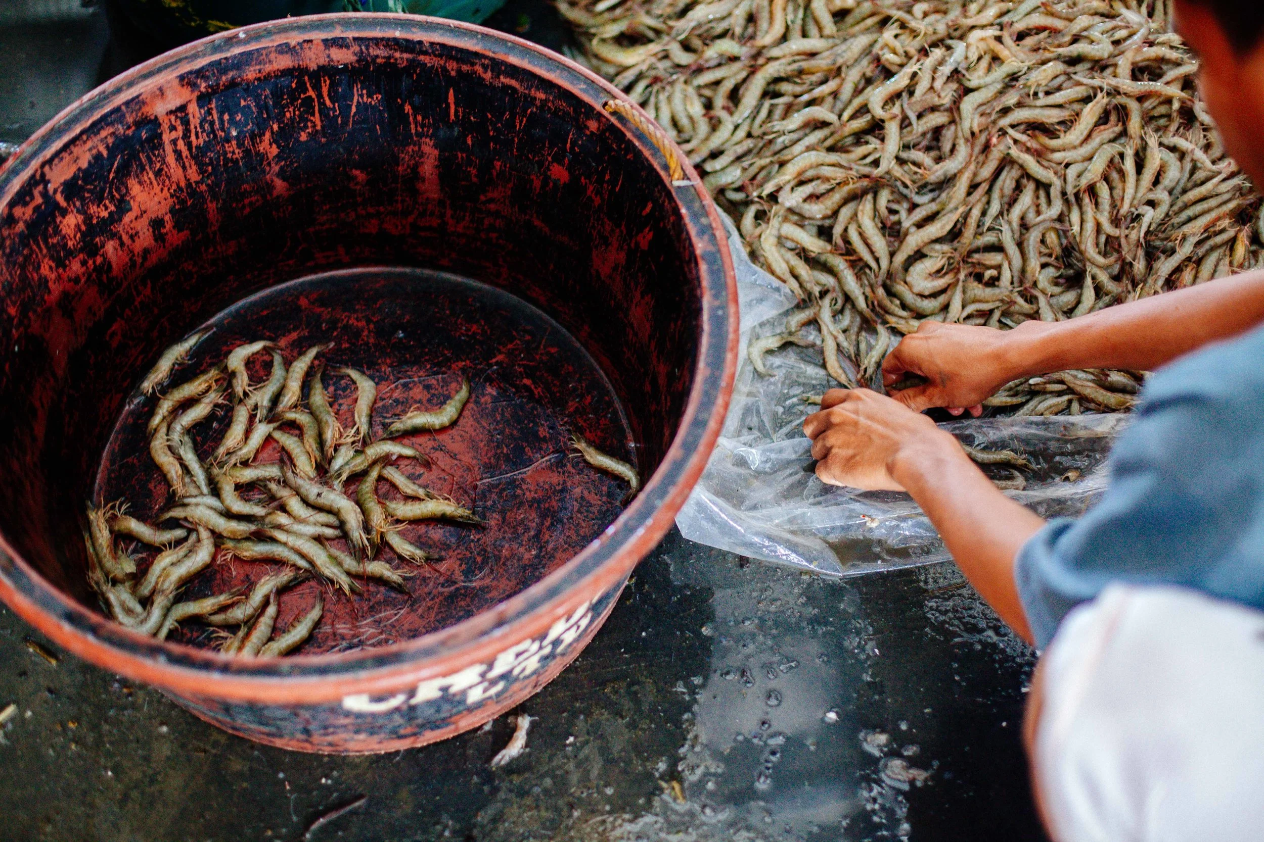 20121116_KU_Philippines_155.jpg