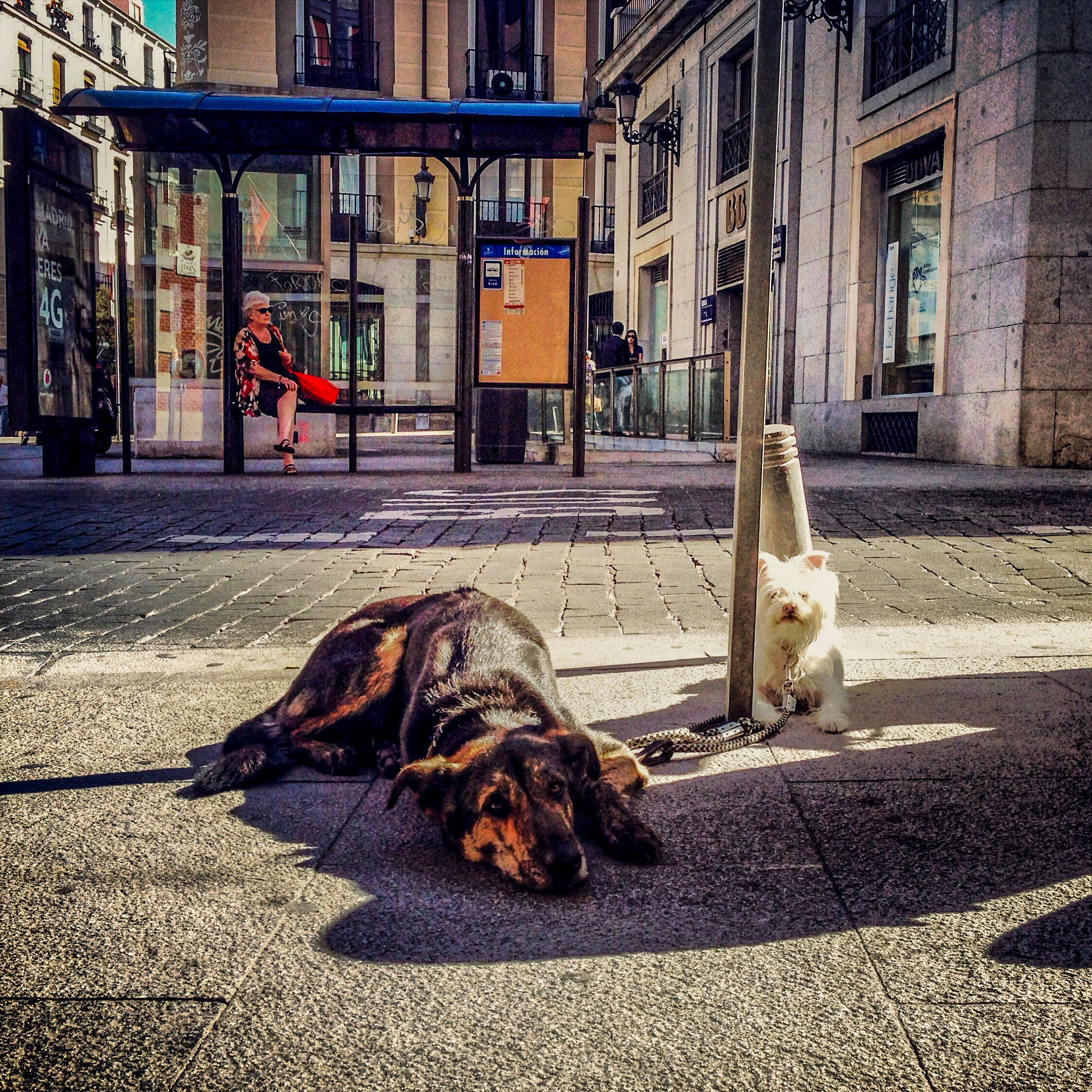 MADRID, SPAIN