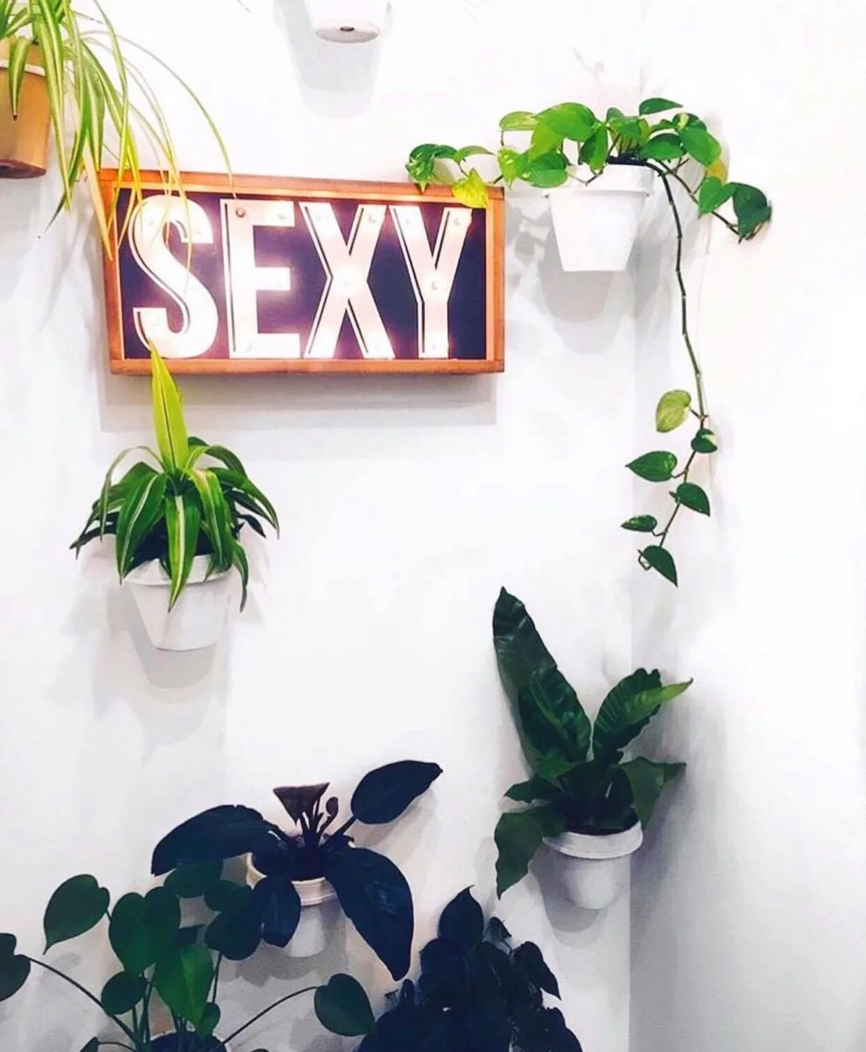 sexy.jpg
