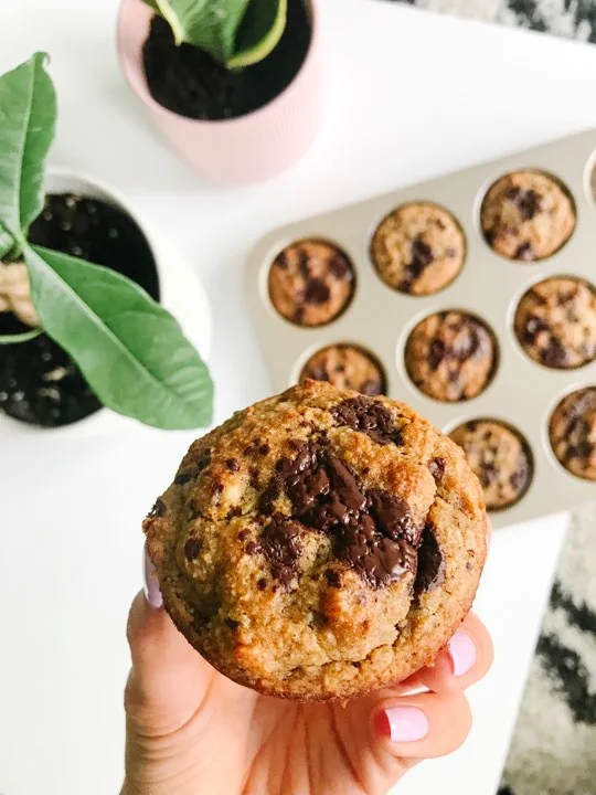 muffin.jpg