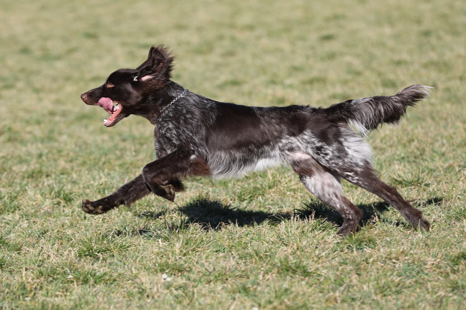 Die Clubnews 2018 zum Schmökern