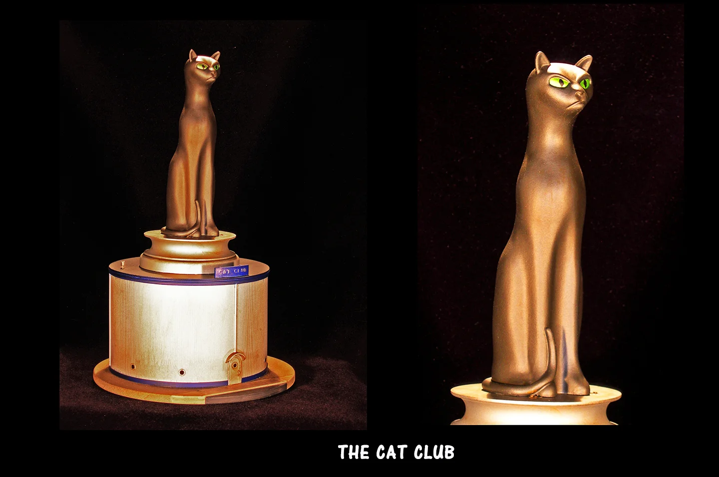 Cat Club Collage.jpg